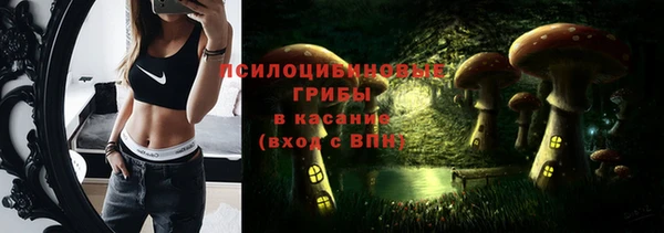 apvp Володарск