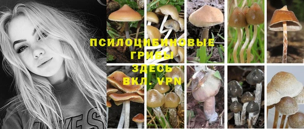 apvp Володарск