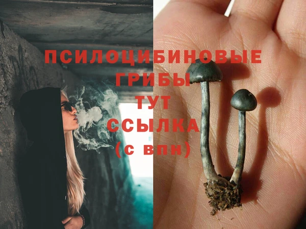 герыч Волоколамск